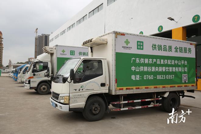 廣東供銷農產品直供配送中山服務中心開業，一站式打包服務助力農產品高效流通